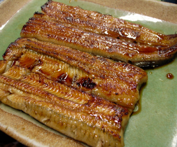 Italian fried or grilled eel recipe