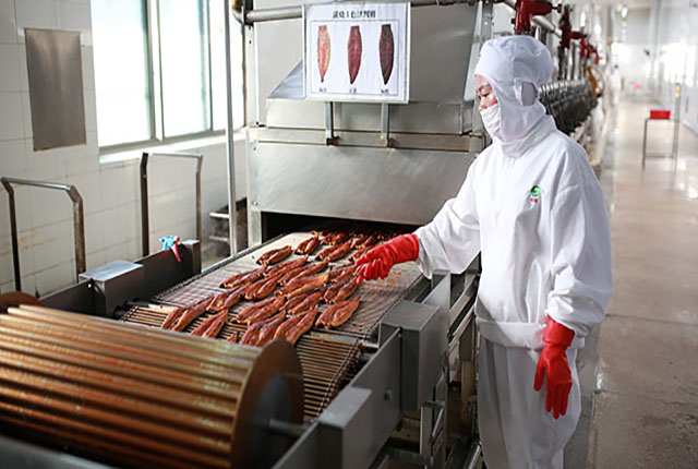 production line of roasted eel