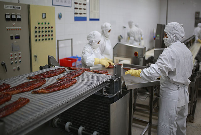 Producing grilled eel