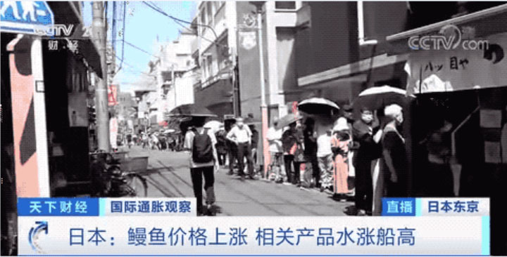 line up for eel