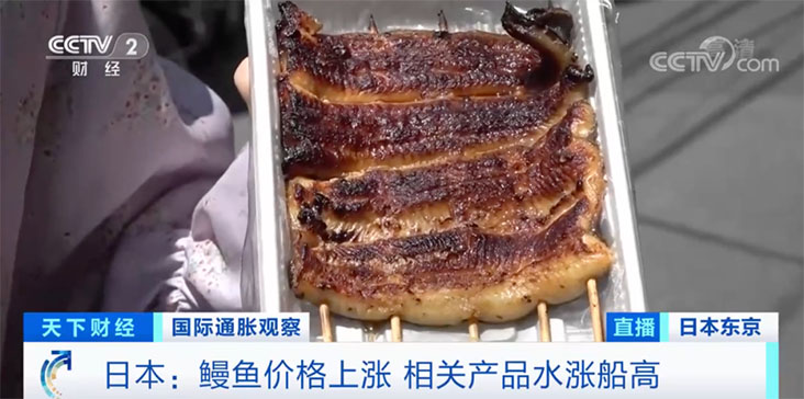 roasted eel