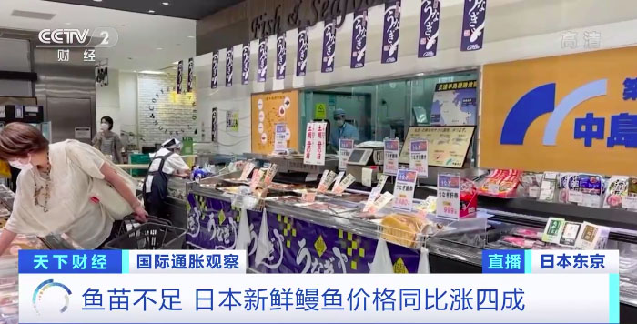 roasted eel in supermarket 