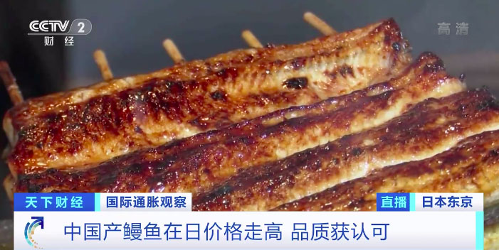High-quality eel